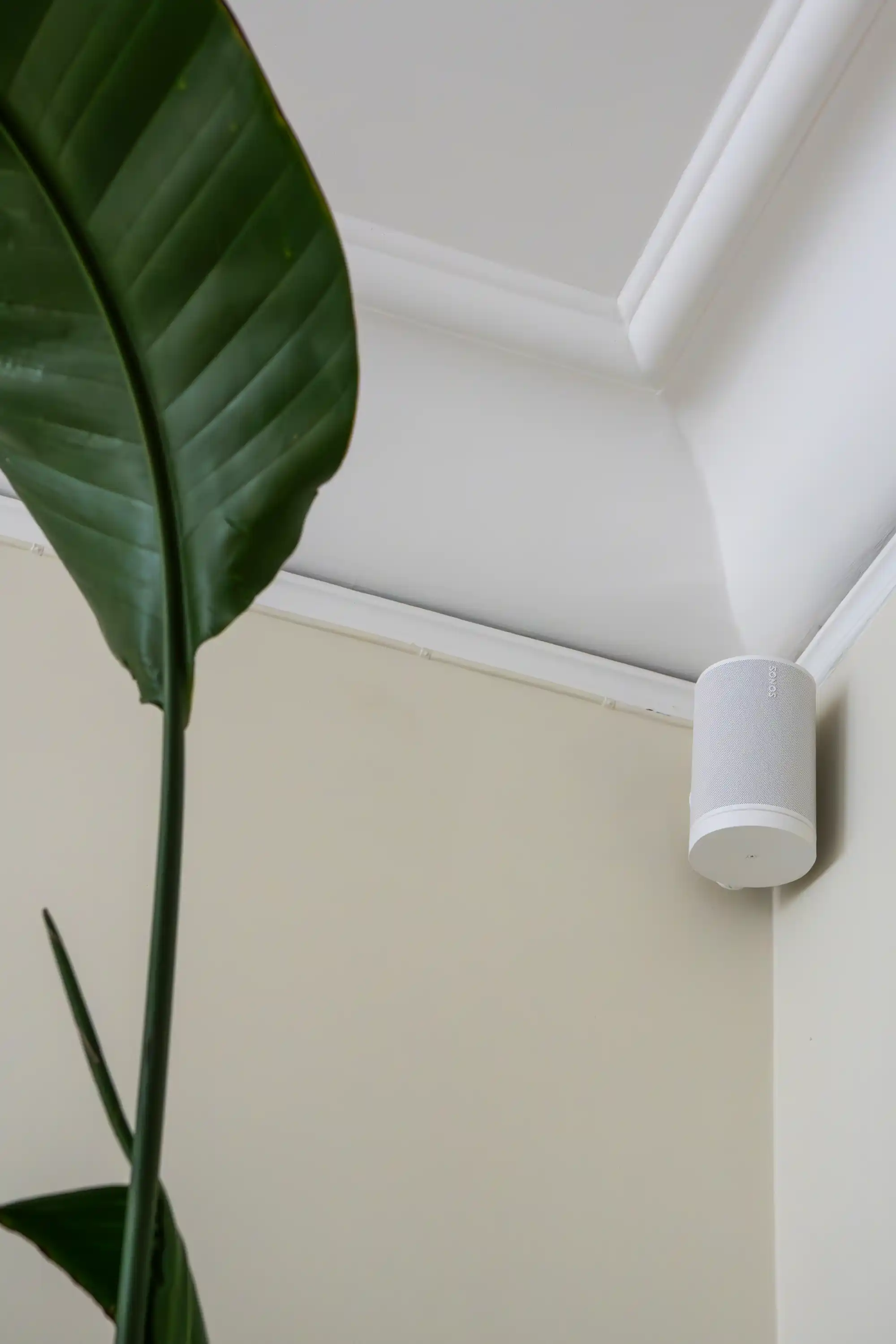 Högtalare vid taklist